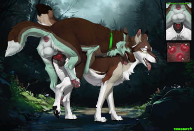 animal_genitalia animal_penis animal_vulva anus balls bodily_fluids brown_body brown_fur canine_genitalia canine_penis canine_vulva collar cum cum_in_vagina cum_inside duo female feral feral_on_feral feral_penetrated feral_penetrating feral_penetrating_feral fur genital_fluids genitals knotting larger_female larger_penetrated male male/female penetration penis saliva sex size_difference smaller_male tongue tongue_out vaginal vaginal_knotting vaginal_penetration vulva truegrave9 sheppermint canid canine canis domestic_dog german_shepherd herding_dog mammal pastoral_dog wolf hi_res