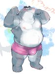 anthro armpit_hair belly big_belly blush body_hair bulge clothing eyewear fur glasses grey_body grey_fur kemono male moobs nipples overweight overweight_male solo underwear white_body white_fur chisa_sa fish marine shark 2023 hi_res