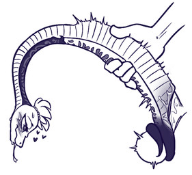 5_fingers abdominal_bulge animal_genitalia balls bestiality blush blush_lines bodily_fluids body_grab cloaca cloaca_juice_on_penis cloacal cloacal_fluids cloacal_penetration disembodied_hand disembodied_penis duo erection eyelashes female female_feral female_penetrated feral feral_penetrated fingers fleshlight_position forked_tongue genitals half-closed_eyes heart_symbol hearts_around_head human_on_feral human_penetrating human_penetrating_feral humanoid_genitalia humanoid_hands humanoid_penis interspecies large_penetration looking_pleasured male male/female male_human male_penetrating male_penetrating_female narrowed_eyes penetration penile penile_penetration penis penis_in_cloaca scales sex side_view simple_background size_difference smaller_female smaller_feral smaller_penetrated snake_fleshlight sweat sweaty_face tail tail_around_balls tongue tongue_out tremble_spikes ventral_scales vulva soulcentinel dreamworks kung_fu_panda master_viper human mammal reptile scalie snake viper 2025 monochrome