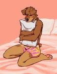 anthro bed blush boxers_(clothing) boxers_only brown_body brown_fur clothed clothing comforting fur furniture hug hugging_object hugging_pillow looking_at_viewer male on_bed pawpads pillow pink_pawpads solo topless underwear underwear_only koyotesol canid canine canis domestic_dog mammal hi_res