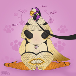 animal_mask anthro armwear avian_feet balls barking bdsm belly big_balls chastity_cage chastity_device clothing collar feet fishnet_armwear fishnet_clothing fishnet_legwear genitals kneeling leash leash_pull leashed_collar legwear male mask metal_chastity_cage nipple_piercing nipples overweight overweight_anthro overweight_male petplay piercing pup_mask puppyplay roleplay solo talons toes tongue wide_hips pepperpkmon88 rye_owl_(character) avian bird owl 1:1 absurd_res hi_res