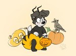 anthro big_diaper diaper feces food fruit heterochromia holidays implied_pooping male plant pumpkin solo unclean_diaper used_diaper young kc.diaper.church halloween kc(d) border_collie canid canine canis collie domestic_dog herding_dog mammal pastoral_dog sheepdog hi_res