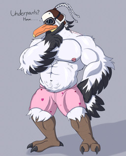 anthro beak biceps biped clothing eyewear feathers goggles hat headgear headwear male muscular muscular_anthro muscular_male nipples non-mammal_nipples pecs simple_background solo standing text underwear white_body white_feathers isaacyote nintendo tears_of_the_kingdom the_legend_of_zelda penn_(tloz) avian bird pelecaniform pelican rito 2023 absurd_res colored digital_media_(artwork) english_text hi_res