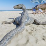 ambiguous_gender beach beach_umbrella chair feral furniture grey_body grey_scales looking_at_viewer looking_back looking_back_at_viewer lounge_chair nude outside parasol pose rear_view sand scales sea seaside solo tail water angrydraconequus benjewer_(modeler) black_betty_(meme) jurassic_park jurassic_world universal_studios blue_(jurassic_world) dinosaur dromaeosaurid prehistoric_species reptile scalie theropod velociraptor 1:1 2022 3d_(artwork) blender_(artwork) digital_media_(artwork) hi_res meme female_(lore)