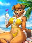 5_fingers anthro beach beach_towel big_breasts bikini bikini_bottom bikini_top breasts brown_body brown_fur brown_hair brown_nose claws cleavage clothed clothing fangs female finger_claws fingers fur hair humanoid_hands multicolored_body multicolored_fur navel open_mouth open_smile outside sand sea sitting smile soft_abs solo swimwear teeth tongue tongue_out towel two-piece_swimsuit two_tone_body two_tone_fur water white_body white_fur yellow_bikini yellow_bikini_bottom yellow_bikini_top yellow_clothing yellow_swimwear nliiz stacy_(grimsilverfire) canid canine canis collie domestic_dog herding_dog mammal pastoral_dog rough_collie sheepdog 2024 hi_res