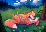 cuddling day detailed_background duo female feral forest fur grass licking love lying male on_back orange_body orange_fur outside plant romantic romantic_couple sky tongue tongue_out tree white_body white_fur rukifox abby_(rukifox) rick_(rukifox) canid canine fox mammal 2022 digital_media_(artwork)