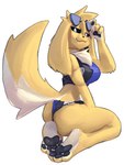anthro big_ears black_clothing black_panties black_pawpads black_topwear black_underwear blue_clothing blue_panties blue_topwear blue_underwear clothed clothing female fur kneeling looking_at_viewer narrowed_eyes panties pawpads simple_background smug solo topwear underwear white_background white_body white_fur yellow_body yellow_fur rz54 canid canine mammal absurd_res hi_res