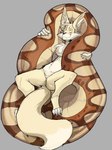 anthro coiling male foxard rennearc vasuki_takshaka canid canine fennec_fox fox genie mammal reptile scalie snake true_fox 2024 hi_res