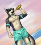 2019 5_fingers abs alcohol anthro beach beer beverage biceps biped black_body black_claws black_fur black_nose black_tail bottle bottomwear canid canine canis claws clothed clothing container countershading detailed_background digital_media_(artwork) domestic_dog drinking dutch_angle eyewear fingers front_view fur green_bottomwear green_clothing green_tongue hair hi_res holding_bottle holding_container holding_object husky juice_(character) juiceps male mammal multicolored_body multicolored_fur multicolored_tail muscular muscular_anthro muscular_male navel nordic_sled_dog open_mouth outside pecs sea seaside short_hair signature solo spitz standing sunglasses swimming_trunks swimwear tail teeth tongue topless two_tone_body two_tone_fur two_tone_tail water white_body white_fur white_hair white_tail