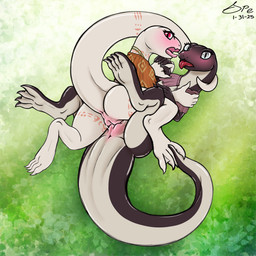 4_toes 5_fingers abstract_background after_kiss albino anthro anthro_on_anthro anthro_on_bottom anthro_on_top anus big_tail blush blushing_profusely bodily_fluids body_blush butt capelet capelet_only caught_in_the_act claws clothing countershade_feet countershade_legs countershade_neck countershade_tail countershade_torso countershading cute_fangs digitigrade duo eyelashes fangs feet female female/female female_anthro female_on_bottom female_on_top finger_claws fingers flat_chested genital_fluids genitals glistening glistening_body grey_eyes hand_holding humanoid_hands innie_vulva leg_tattoo long_neck long_tail looking_at_viewer looking_back looking_back_at_viewer lying membrane_(anatomy) monotone_body mostly_nude mostly_nude_anthro mostly_nude_female multicolored_body neck_tattoo on_back on_bottom on_front on_top open_mouth orange_capelet orange_clothing orange_tattoo pattern_capelet pattern_clothing pink_anus pink_capelet pink_clothing pink_outer_labia pink_perineum pink_tongue pink_vulva plump_labia prehensile_tail pupils purple_body raised_tail rear_view red_eyes red_tongue saliva saliva_on_tongue saliva_string sex slit_pupils snout tail tail_around_neck tail_dimple tail_tattoo tan_body tan_countershading tapering_tail tattoo teeth thick_tail thick_thighs thigh_tattoo toe_claws toes tongue tongue_out tribadism tribal tribal_tattoo two_tone_body vaginal vaginal_fluid_string vaginal_fluids vaginal_fluids_on_vulva vulva vulva_blush webbed_feet white_body spe overlord_(series) crusch_lulu judith_(overlord) lizard lizardman lizardman_(overlord) reptile scalie 1:1 2025 absurd_res dated digital_drawing_(artwork) digital_media_(artwork) hi_res krita_(artwork) shaded signature sketchbook_(artwork) soft_shading