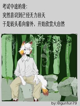 anthro male outside solo text gunfun79 gan_tuo(gunfun79) canid canine canis mammal wolf chinese_text hi_res meme