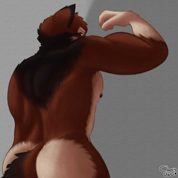 anthro back_muscles butt fur looking_at_viewer looking_back male multicolored_body multicolored_fur muscular muscular_anthro muscular_male neck_tuft nipples nude nude_anthro nude_male pecs rear_view red_body red_fur simple_background solo standing tail tuft elchar_art echo_(game) echo_(series) echo_project leo_alvarez canid canine canis mammal wolf 1:1 2026 hi_res signature