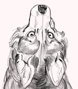 ambiguous_gender feral fur grey_body grey_fur looking_at_viewer nude_ambiguous quadruped solo white_body white_fur hemuchang canid canine canis mammal wolf 2024 graphite_(artwork) hi_res traditional_media_(artwork)
