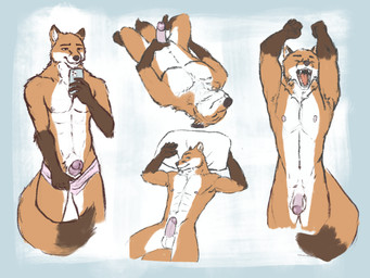abs anthro balls circumcised clothed clothing erection eyes_closed flaccid genitals glans humanoid_genitalia looking_pleasured male masturbation muscular muscular_male nipples nude open_mouth partially_clothed penis presenting seductive selfie solo underwear underwear_down yawn antauess canid canine fox mammal 4:3 hi_res multiple_scenes