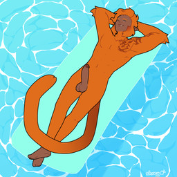 anthro balls biped crossed_legs erection exhibitionism feet fur genitals hair hands_behind_head humanoid_pointy_ears long_tail looking_at_viewer male muscular navel nude penis pointy_ears pool_float relaxing simple_background smile smirk solo tail tattoo water shinystarshard animal_humanoid haplorhine humanoid mammal monkey primate 1:1 digital_media_(artwork) hi_res