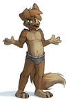 anthro barefoot briefs briefs_only brown_nose bulge claws clothed clothing feet green_eyes grey_briefs grey_clothing grey_underwear male multicolored_clothing multicolored_underwear navel palms_out shadow simple_background smile solo topless two_tone_briefs two_tone_clothing two_tone_underwear underwear underwear_only white_background tinydeerguy matt_riskely canid canine canis domestic_dog mammal hi_res