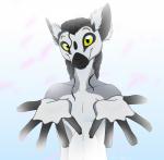 anthro fingerless_(marking) looking_at_viewer male nude simple_background soft_focus solo sunny yellow_eyes ascar_angainor catta lemur mammal primate ring-tailed_lemur strepsirrhine 2016 absurd_res digital_media_(artwork) half-length_portrait hi_res portrait