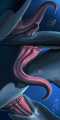 animal_genitalia animal_penis anus black_body blowhole blush bodily_fluids bubble cetacean_genitalia cetacean_penis cum cum_in_mouth cum_inside deep_throat duo erection eyes_closed fellatio feral feral_on_feral feral_penetrated feral_penetrating feral_penetrating_feral flippers frottage fully/fully_submerged fully_submerged genital_fluids genital_slit genitals grey_body larger_male male male/male male_feral male_penetrated male_penetrating male_penetrating_male oral oral_penetration penetration penile penis penis_in_mouth penis_size_difference penises_touching sex size_difference smaller_male smaller_penetrated sweat tapering_penis tongue underwater underwater_sex water white_body wide_eyed shinigamisquirrel aquatic cetacean dolphin mammal oceanic_dolphin orca toothed_whale 2025 absurd_res digital_media_(artwork) hi_res