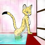 anthro balls bath eyewear genitals glasses humanoid_genitalia humanoid_penis looking_at_viewer male nude penis solo water trashbadger aggretsuko sanrio hyoudou felid leopard mammal pantherine 1:1