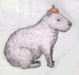 apple apple_on_head black_eyes brown_body brown_fur ears_up feral food fruit fur looking_forward male plant sitting solo reynard_goodfellow capybara caviid mammal rodent