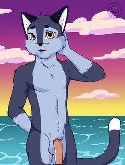 anthro beach flaccid fur genitals humanoid_genitalia humanoid_penis male penis seaside solo sunset kittmouri domestic_cat felid feline felis mammal
