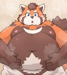 anthro belly big_belly blush brown_body kemono male moobs navel nipples orange_body overweight overweight_male solo steam towel kotadash tamacolle ailurid mammal red_panda 2024