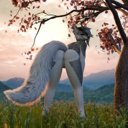 anthro anus butt detailed_background female fur genitals hair leaning leaning_forward looking_at_viewer looking_back mountain nude nude_anthro nude_female plant presenting presenting_anus presenting_hindquarters presenting_vulva rear_view smile solo spread_legs spreading sunset tail tree vulva white_body white_fur liltrashx aurora_(foxipaws) canid canine canis mammal wolf 1:1 3d_(artwork) digital_media_(artwork)