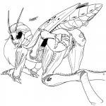 2_pussies alternate_species antennae_(anatomy) anthro anus arthropod_abdomen arthropod_abdomen_genitalia arthropod_abdomen_pussy big_breasts biped bodily_fluids breasts breasts_and_teats butt butt_grab female genital_fluids genitals hair hand_on_butt looking_at_viewer looking_back looking_back_at_viewer masturbation multi_arm multi_breast multi_genitalia multi_limb multi_pussy nipples non-mammal_breasts nude nude_anthro nude_female open_mouth open_smile presenting presenting_anus presenting_hindquarters presenting_pussy pussy rear_view red_hair simple_background smile smiling_at_viewer solo spikes spread_butt spreading tail_breasts teats tongue tongue_out vaginal_fluids white_background wings doomington totally_spies! sam_(totally_spies!) samantha_simpson arthropod grasshopper insect orthopterid 1:1 2014 monochrome