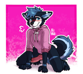 anthro balls blue_body blue_eyes blue_fur blue_hair blush bodily_fluids clothing collar erection flustered fur genital_fluids genitals hair hoodie kneeling knot knotted_penis leaking_precum male multicolored_body multicolored_fur penis precum shy solo tail topwear fenneckiro vikohusky canid canine canis domestic_dog husky mammal nordic_sled_dog spitz absurd_res hi_res