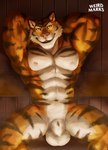 animal_genitalia anthro countershading fully_sheathed genitals male markings muscular nipples sauna sheath solo steam striped_markings stripes towel towel_around_waist weirdmarks felid mammal pantherine tiger absurd_res hi_res