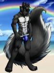 abs anthro athletic barefoot beach biceps biped black_body black_fur black_hair black_nose black_pawpads blue_bottomwear blue_clothing bottomwear bulge chest_tuft claws clothed clothing clothing_pull cloud countershade_torso countershading detailed_background featureless_chest feet footprint front_view fur grey_body grey_fur grin hair hindpaw jewelry jockstrap male muscular muscular_anthro necklace outside pawpads pawprint paws pecs pose pubes rainbow rainbow_arch sand sea seaside skimpy sky smile solo standing tight_clothing toe_claws topless tuft underwear underwear_pull water white_body white_countershading white_fur yellow_eyes shynjy ash_harden canid canine canis hybrid mammal mephitid skunk wolf absurd_res digital_media_(artwork) full-length_portrait hi_res portrait