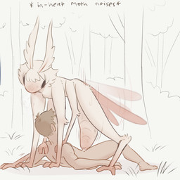 2_fingers 3_toes 4_arms antennae_(anatomy) anthro arm_tuft arthropod_abdomen arthropod_abdomen_genitalia arthropod_abdomen_penetration arthropod_abdomen_vulva black_eyes bodily_fluids duo elbow_tuft feet female female_on_top fingers flapping_wings fluffy fur genitals grabbing_another gradient_body gradient_fur grass hair hands_on_shoulders in_heat larger_female leg_tuft lying male male/female male_on_bottom multi_arm multi_limb on_back on_bottom on_ground on_top outside outside_sex penetration pink_body pink_skin pink_wings plant sex short_hair simple_background size_difference sweat sweatdrop text toes translucent translucent_wings tree tuft vaginal vaginal_penetration vaginal_tugging vulva white_body white_fur white_hair wings wings_flapping tateoftot alien arthropod human insect lepidopteran mammal moth nychora hi_res