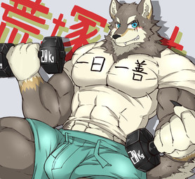 anthro biceps blue_eyes bottomwear brown_body brown_fur clothing countershading dumbbell exercise four-character_idiom fur male muscular muscular_anthro muscular_male pecs shirt solo topwear weightlifting weights workout inuyama_kensin vtuber ogami_aratsuka canid canine canis mammal wolf 2021 hi_res