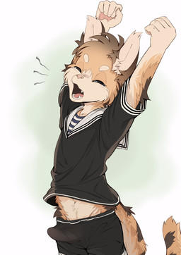 5_fingers adolescent anthro arm_tuft arms_above_head biped black_bottomwear black_clothing black_markings black_shirt black_shorts black_stripes black_topwear bodily_fluids bottomwear brown_body brown_ears brown_fur brown_tuft bulge casual_erection clothed clothed_anthro clothed_male clothing countershade_arms countershade_face countershade_fur countershade_neck countershade_tail countershade_torso countershading cute_fangs detailed_bulge erection erection_under_clothing erection_under_shorts eyebrows eyes_closed fangs fingerpads fingers fluffy front_view fully_clothed fully_clothed_anthro fully_clothed_male fur green_background handpads hands_above_head humanoid_hands male male_anthro markings midriff morning_wood multicolored_body multicolored_fur open_mouth pawpads pink_nose pink_pawpads pink_tongue raised_arms sailor_uniform shirt shorts simple_background solo stretching striped_markings striped_tail stripes tail tail_markings tan_body tan_fur tears teeth tenting tired tongue topwear tuft uniform white_background white_body white_countershading white_eyebrows white_fur white_inner_ear yawn yellow_body yellow_fur young young_anthro young_male makioraku felid feline lynx mammal absurd_res english_description hi_res portrait three-quarter_portrait
