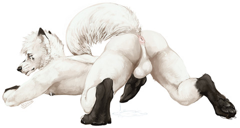 animal_genitalia animal_penis anthro anus balls black_body black_fur black_penis bodily_fluids butt canine_genitalia canine_penis cum cum_pool cum_string erection fur genital_fluids genitals looking_at_viewer looking_back looking_back_at_viewer male male_anthro nipples nude nude_anthro nude_male pawpads penis presenting presenting_anus presenting_hindquarters raised_tail rear_view solo tail white_body white_fur i-psilone fitz_mctavish_(character) arctic_wolf canid canine canis mammal wolf 2021 hi_res