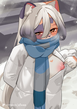 anthro blush breasts cold female female_anthro flashing_nipples inner_ear_fluff looking_at_viewer medium_breasts one_breast_out presenting_nipple road scarf snow solo standing tuft winter winter_jacket etivka haru_(etivka) calico_cat domestic_cat felid feline felis mammal 2026 hi_res