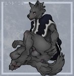 animal_genitalia anthro anus backsack balls butt claws clothing genitals male paws poncho sheath simple_background sitting smile smirk solo spread_butt spreading text syn-6 iveraks_(iveraks) canid canine canis mammal wolf braille_text digital_media_(artwork) hi_res