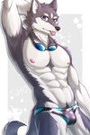 abs anthro armpit_showing athletic athletic_male blep bulge clothing eyewear goggles looking_at_viewer male nipples solo speedo swimming_goggles swimwear teasing tongue tongue_out kemo_shu canid canine canis domestic_dog husky mammal nordic_sled_dog siberian_husky spitz 2:3 absurd_res hi_res