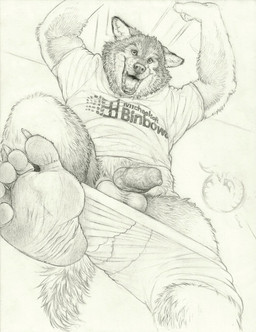 animal_genitalia animal_penis anthro balls bottomwear bottomwear_down canine_genitalia canine_penis clothed clothing genitals looking_at_viewer male pants pants_down partially_clothed penis plantigrade shirt solo topwear windows_logo kinkycoyote canid canine canis mammal wolf hi_res