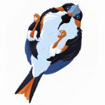 ambiguous_gender avian_butt beak black_body black_feathers blue_body blue_feathers feathers feral looking_at_viewer lying on_back orange_body orange_feathers solo white_body white_feathers dinkysaurus dnk avian bird 1:1 2016