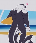 2017 anthro beach black_body black_skin butt cetacean claws connor_(explicital) detailed_background dolphin evalion heart_symbol looking_back male mammal marine muscular muscular_anthro muscular_male nude nude_beach oceanic_dolphin orca outdoor_nudity outside sand seaside sky smile solo standing surfboard tail toothed_whale vehicle water watercraft white_body white_skin