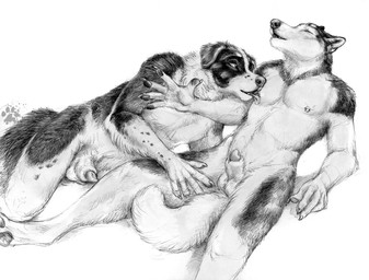 animal_genitalia anthro balls claws duo eyes_closed finger_claws floppy_ears fur genitals licking looking_pleasured lying male male/male nipple_fetish nipple_lick nipple_piercing nipple_play nipple_ring nipples nude nude_anthro nude_male on_side pawpads penis penis_tip piercing pointy_ears prick_ears reclining ring_piercing sheath simple_background tail tongue tongue_out white_background blotch scratches_volume_5 canid canine canis collie domestic_dog herding_dog husky mammal nordic_sled_dog pastoral_dog sheepdog spitz 2011 monochrome traditional_media_(artwork)