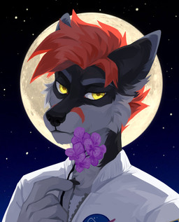 anthro black_body black_fur cheek_tuft clothed clothing facial_tuft flower fur grey_body grey_fur hair holding_flower holding_object looking_at_viewer male moon mouth_closed narrowed_eyes pink_flower plant red_hair solo star topwear tuft unsigned white_clothing white_topwear yellow_eyes corzh77 canid mammal absurd_res bust_portrait hi_res portrait