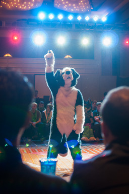 ambiguous_gender audience clothing costume crowd dancing female fursuit group male photo real solo_focus stage tail tommy_bruce rockzorz canid canine canis domestic_dog human mammal grandfathered_content