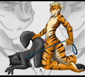 all_fours amber_eyes anal anal_penetration animal_genitalia animal_penis anthro anthro_on_anthro anthro_penetrated anthro_penetrating anthro_penetrating_anthro arm_support arms_bent ass_up balls bent_legs bent_over black_bars canine_genitalia canine_penis collar collar_only dominant dominant_male duo erection forward_arm_support from_behind_position genitals hand_on_another's_tail hand_on_tail head_turned holding_leash holding_object kneeling kneeling_sex knot leapfrog_position leash leash_pull looking_at_viewer male male/male male_penetrated male_penetrating male_penetrating_male nude obscured_penetration penetration penis raised_tail sex side_view submissive submissive_male tail tail_grab tongue tongue_out straydog canid canine canis domestic_dog felid husky mammal nordic_sled_dog pantherine spitz tiger wolf letterbox