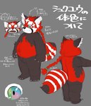 anthro biped black_body butt cute_fangs fangs kemono male overweight overweight_male red_body solo teeth text white_body young kita_9999 lifewonders tokyo_afterschool_summoners zhurong_(tas) ailurid mammal red_panda 2021 absurd_res hi_res japanese_text model_sheet