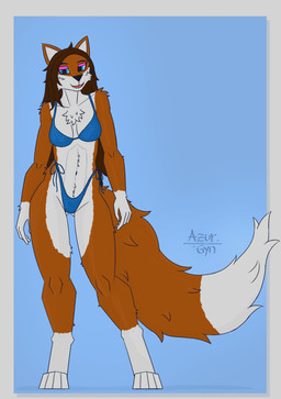 anthro bikini blue_bikini blue_clothing blue_eyes blue_swimwear breasts brown_hair butt butt_from_the_front clothing curvy_figure digitigrade female fluffy fluffy_tail fur hair happy long_hair multicolored_body multicolored_fur orange_body orange_fur simple_background solo standing swimwear tail two-piece_swimsuit white_body white_fur azurgyn canid canine fox mammal digital_drawing_(artwork) digital_media_(artwork) hi_res signature