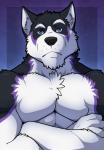 abs anthro biceps black_body black_fur black_nose blue_eyes chest_tuft crossed_arms frown fur looking_at_viewer male multicolored_body multicolored_fur muscular muscular_anthro muscular_male neck_tuft pecs purple_body purple_fur solo tuft white_body white_fur aluminemsiren sebastian_king canid canine canis domestic_dog husky mammal nordic_sled_dog spitz absurd_res half-length_portrait hi_res portrait