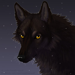 ambiguous_feral ambiguous_gender black_nose brown_body brown_fur cheek_tuft facial_tuft feral fur glistening glistening_eyes looking_at_viewer mouth_closed neck_tuft simple_background solo star tuft whiskers yellow_eyes heatherwolf canid canine canis mammal wolf 1:1 hi_res