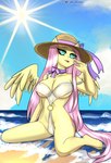 anthro anthrofied beach breasts camel_toe clothing day female genital_outline pussy_outline solo swimwear wings caliluminos friendship_is_magic hasbro my_little_pony mythology fluttershy_(mlp) equid equine horse mammal mythological_creature mythological_equine pegasus pony absurd_res hi_res